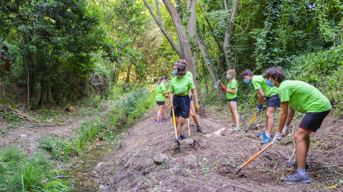 Un camp de treball comença a recuperar l'entorn dels torrents de Valls