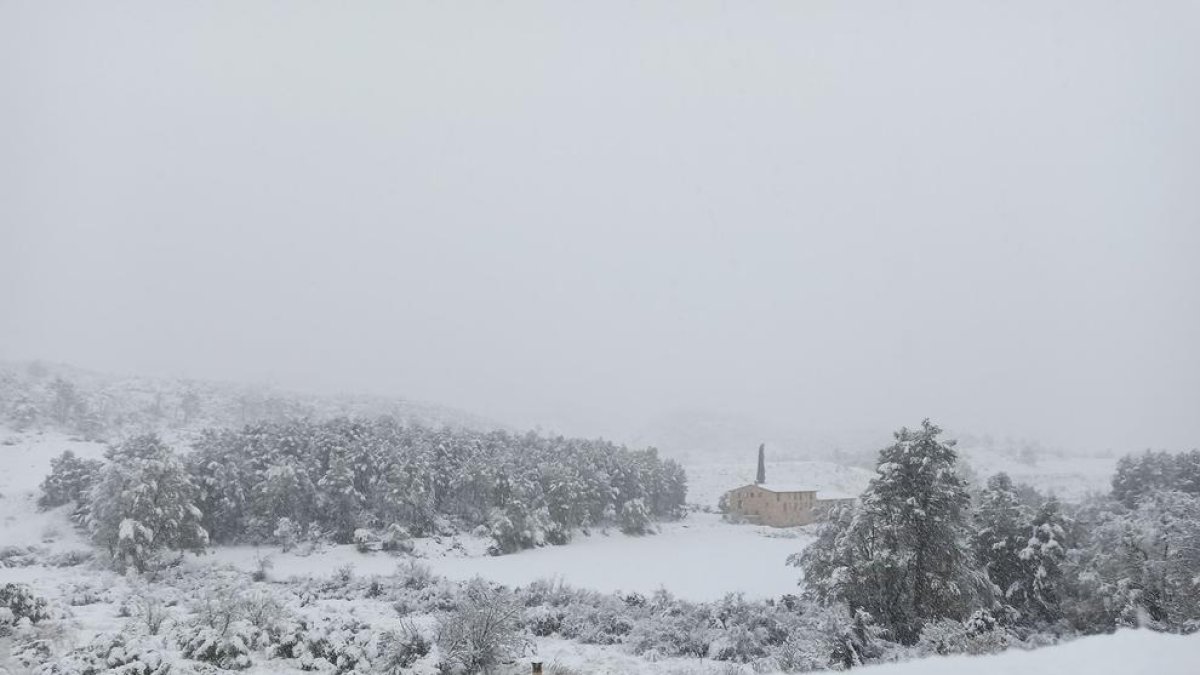 La neu i el vent regnen en l'inici de la borrasca 'Glòria' al Camp de Tarragona