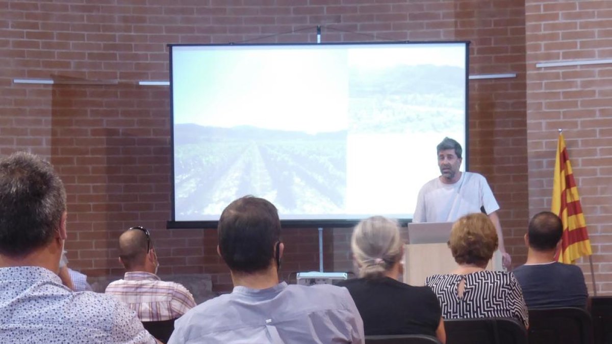 El Priorat impulsa un pla de compostatge amb restes de poda agrícola