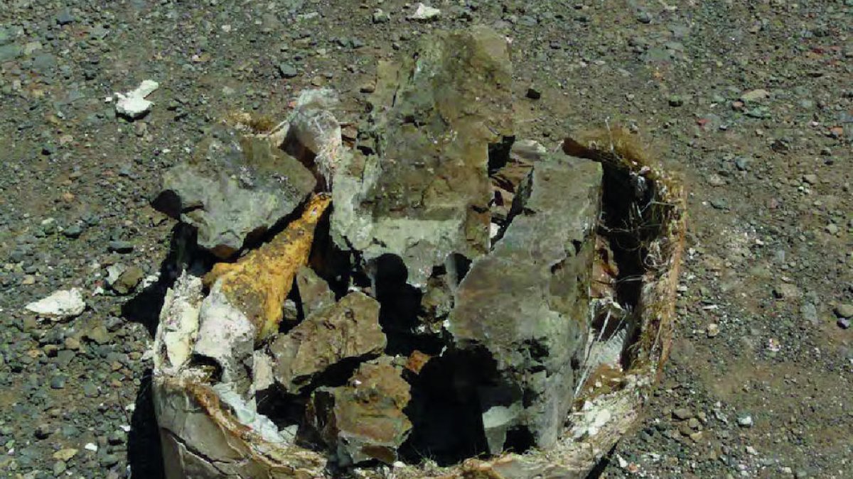 Un fósil robado permite describir una nueva especie de cocodrilo en los Pirineos