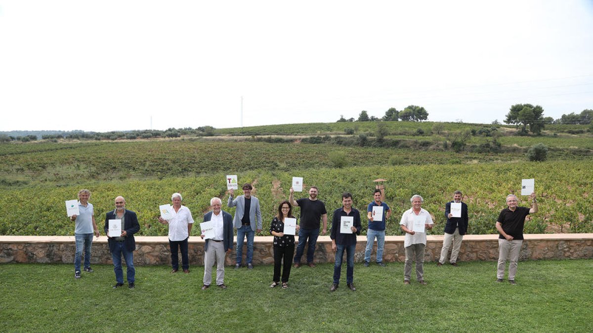 Las DON catalanas prevén que se pierda un tercio de la cosecha de uva en toda Cataluña a causa del mildiu