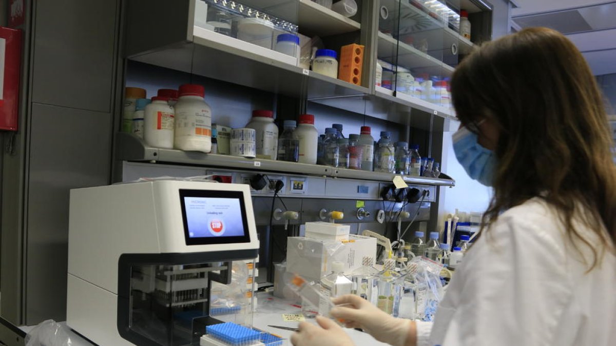 Salut farà diversos estudis d'immunitat amb més d'un milió de tests serològics