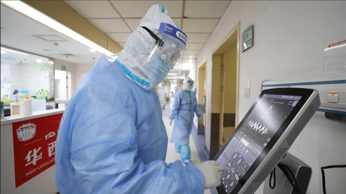 Un estudio de 'Nature' concluye que el coronavirus no es un virus creado o manipulado en laboratorio