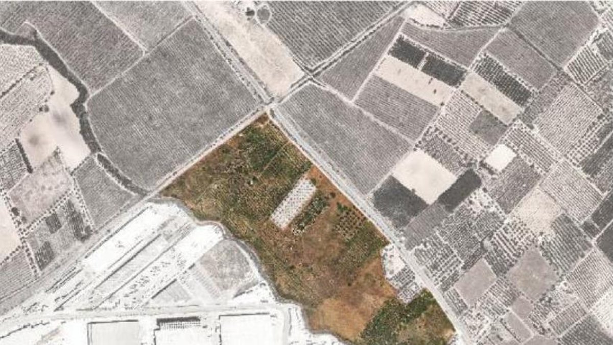 Llum verda a una planta fotovoltaica de 17,5 hectàrees al polígon industrial de Constantí