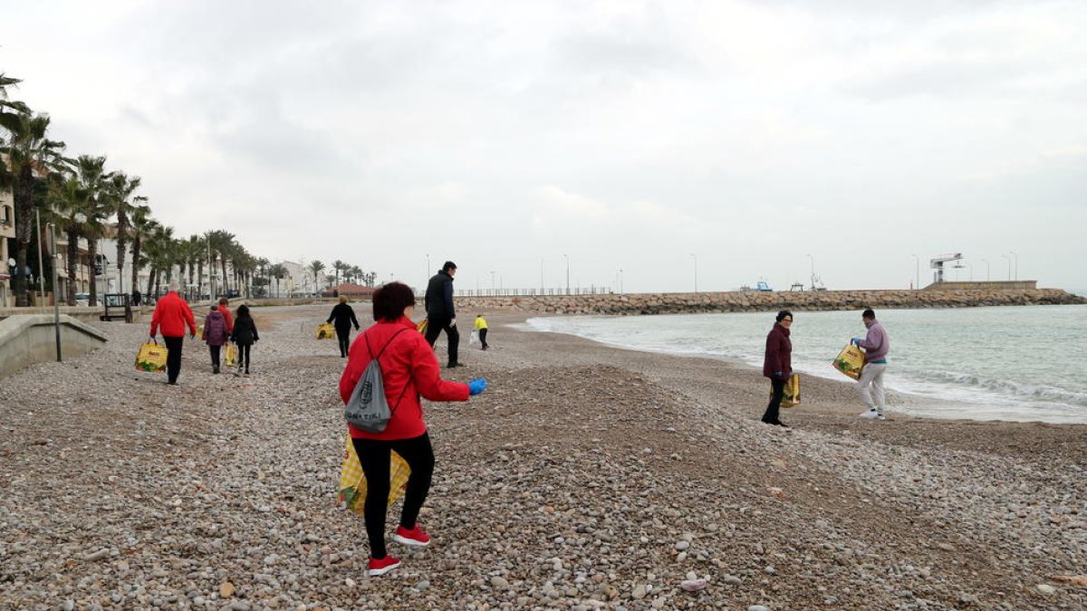Más de 150 voluntarios limpian los desperdicios que el Gloria ha arrastrado hasta las playas de las Casas de Alcanar