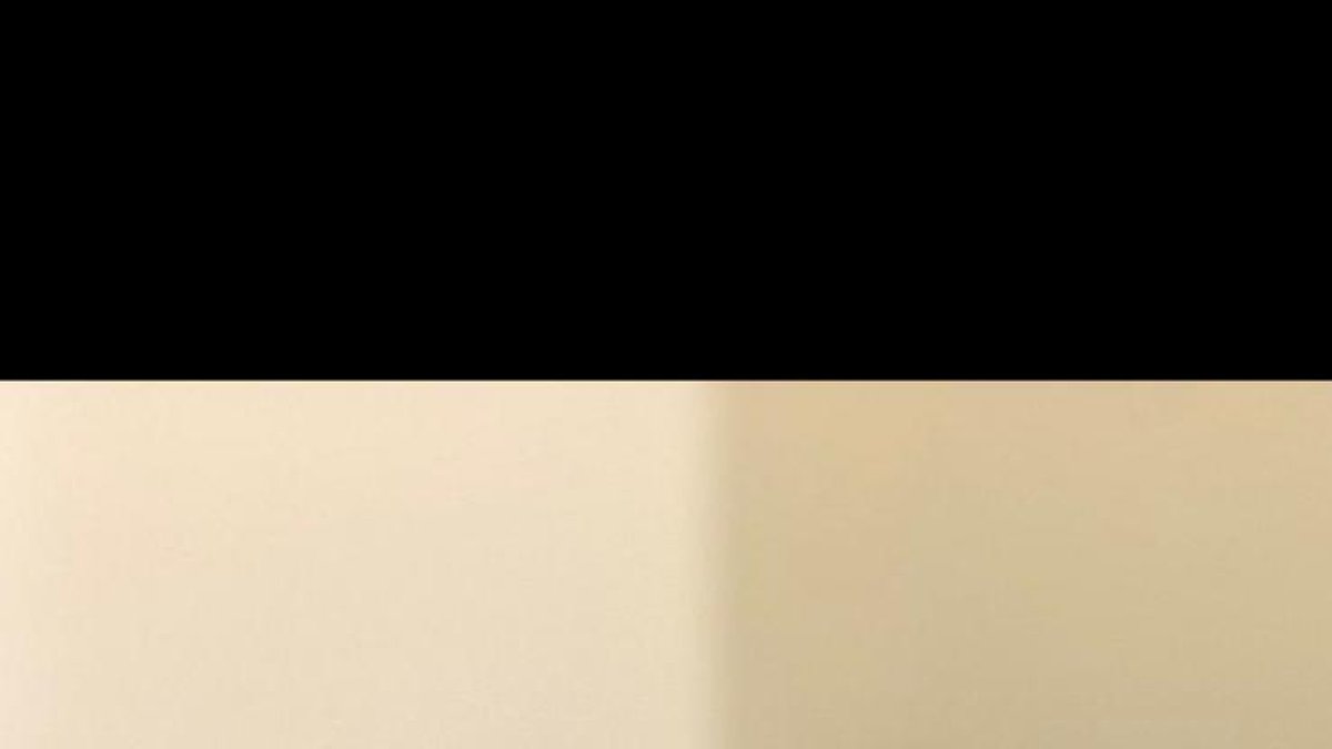 Es busca un gos a Boscos de Tarragona