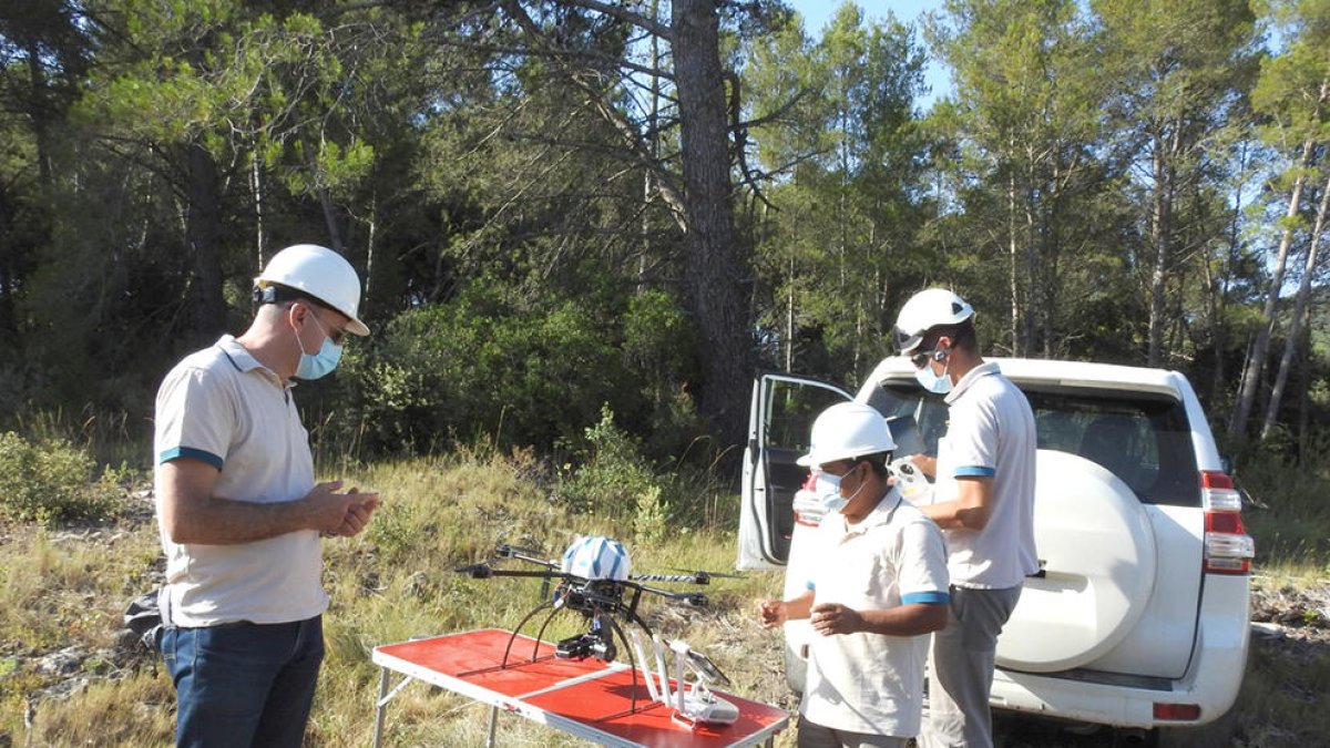 REE introdueix a Tarragona l'ús de drons pel manteniment de les línies elèctriques d'alta tensió