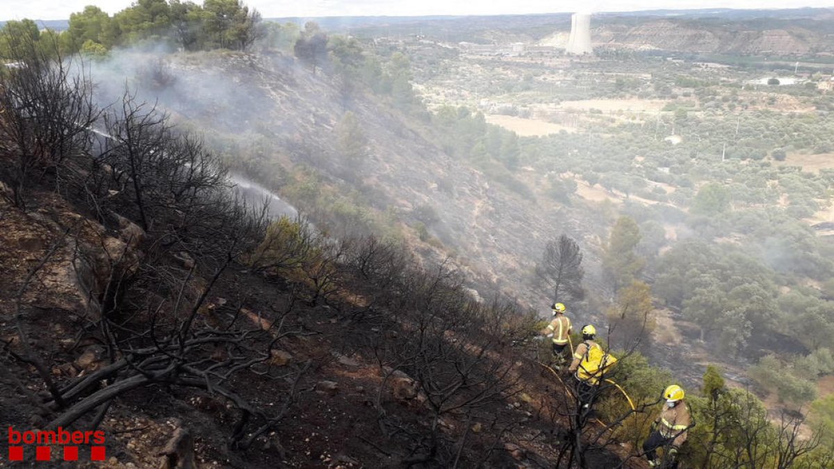 Queman 8.000 metros cuadrados de demasiado forestal y olivos en Ascó