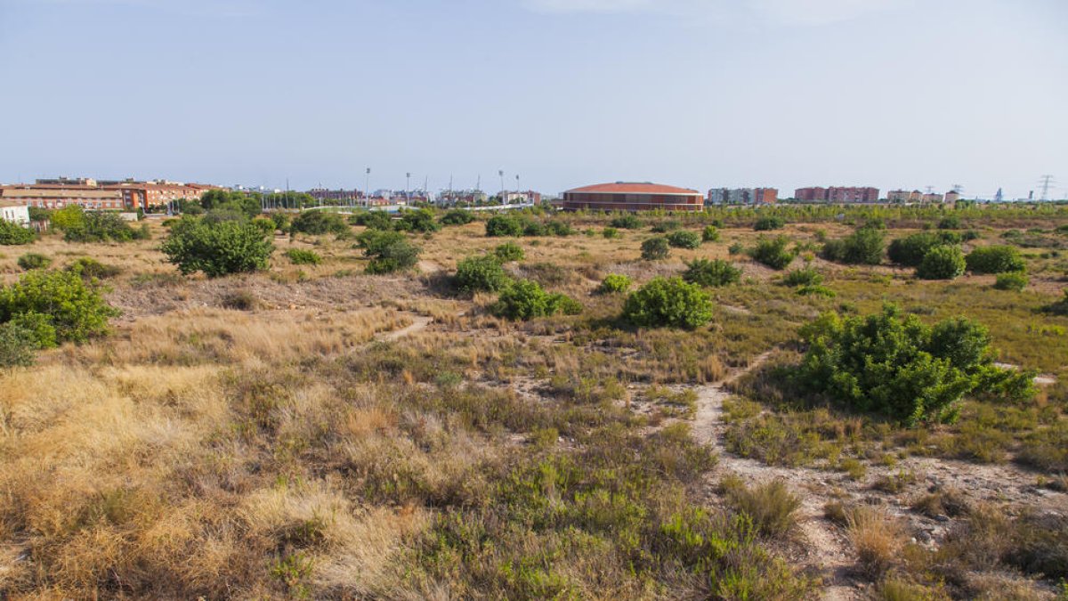 El govern preveu urbanitzar 8 sectors i construir-hi 3.000 habitatges en 3 anys