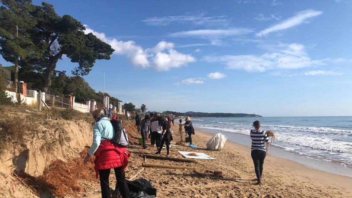 Voluntaris continuen la neteja de la Platja Llarga
