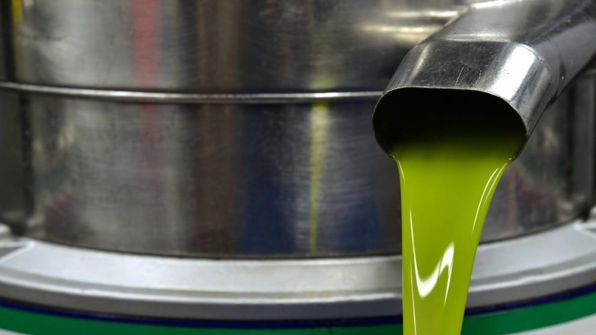 L'oli d'oliva verge sense filtrar té efectes antihipertensius