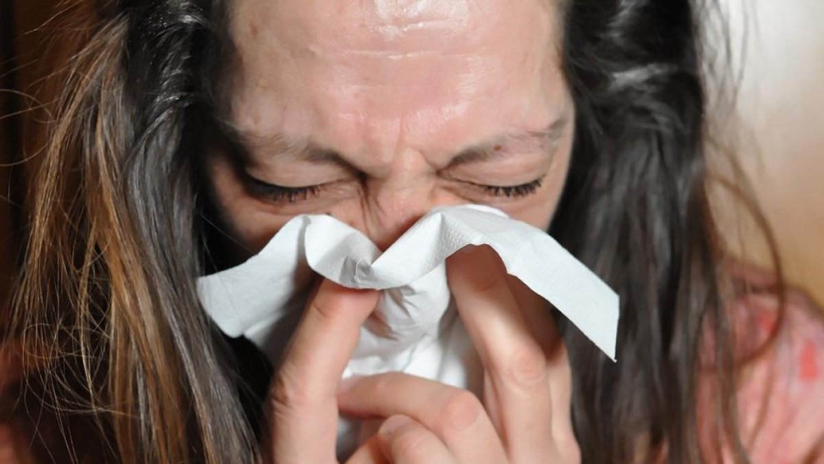 Un medicament per a reduir el colesterol podria convertir la Covid-19 en un refredat comú