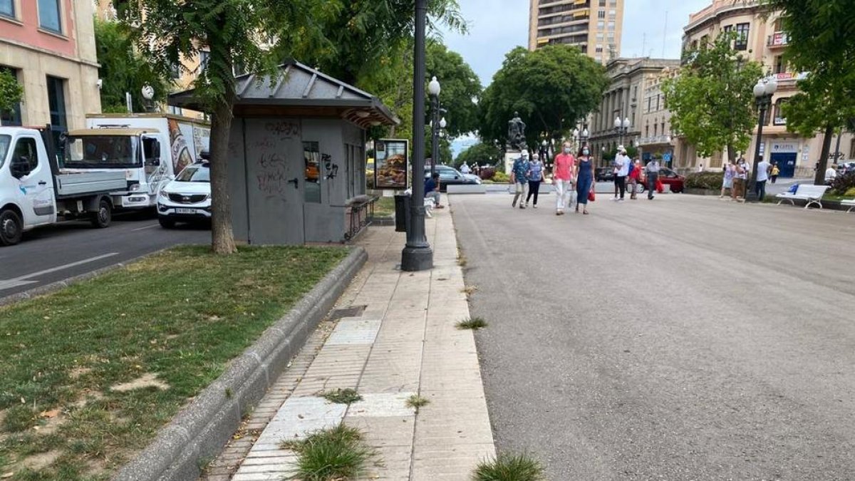Les males herbes envaeixen amplis sectors de la Rambla Nova de Tarragona