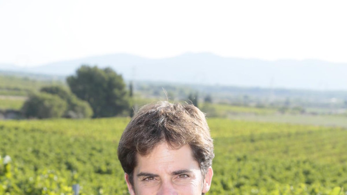 «L'enoturisme és una font important per la DO, però sense turistes, ha caigut»