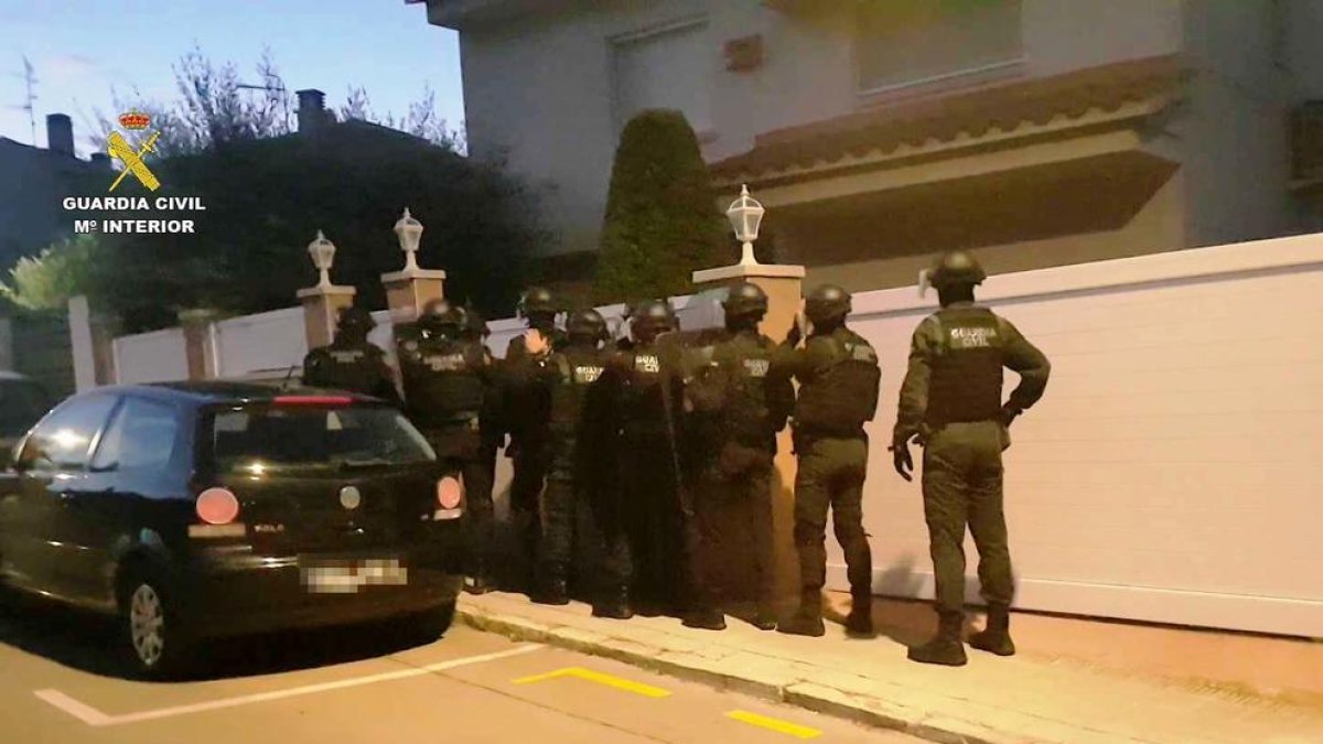 Detinguts per tenir una plantació clandestina amb més de 550 plantes de marihuana