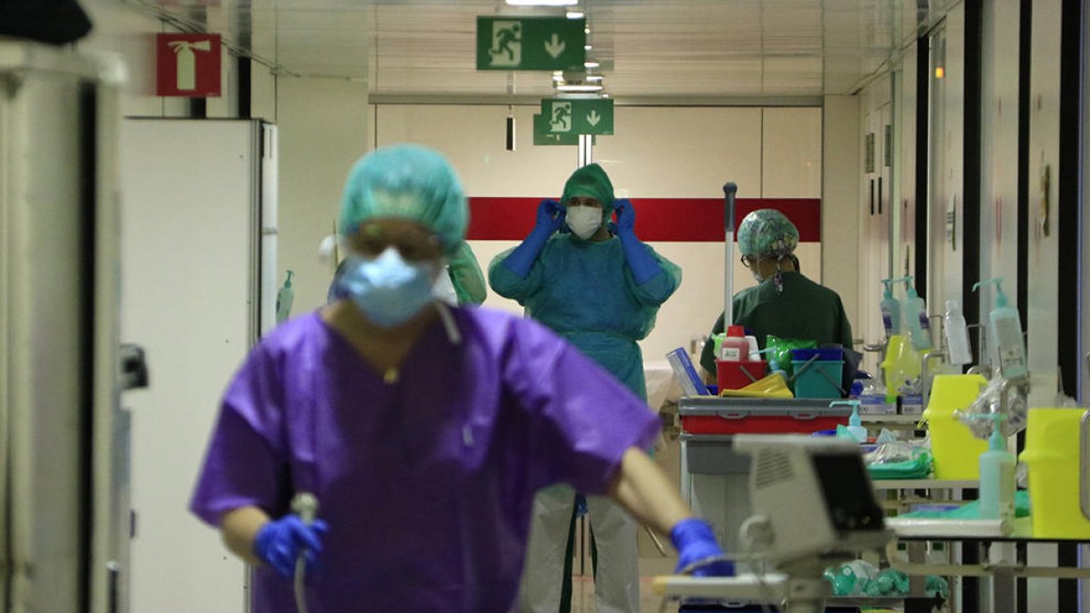 Un 15% de los casos graves de covid se explican por|para factores genéticos o por|para anticuerpos