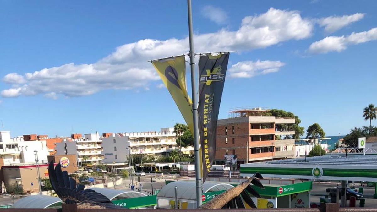 Apareix un voltor ferit a un pont de Cambrils