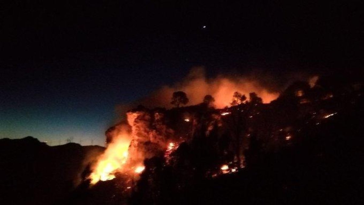 Un important incendi forestal a Vinebre crema unes 8 hectàrees