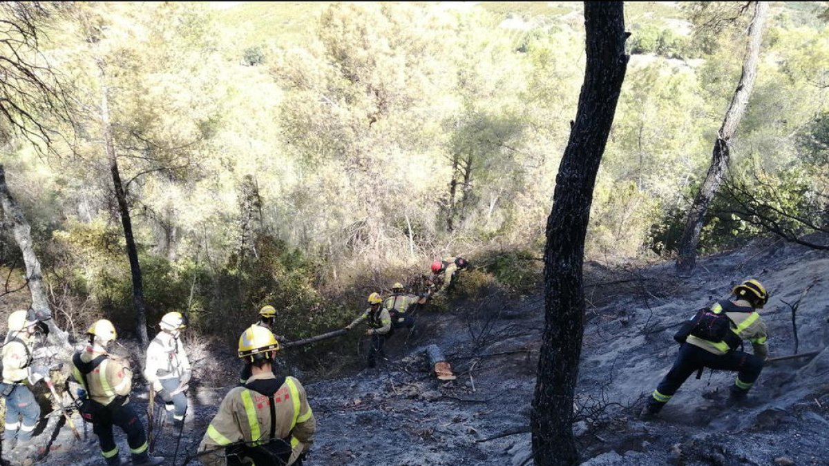 La intensidad del viento de Mestral preocupa los Bomberos para extinguir el incendio de Vinebre