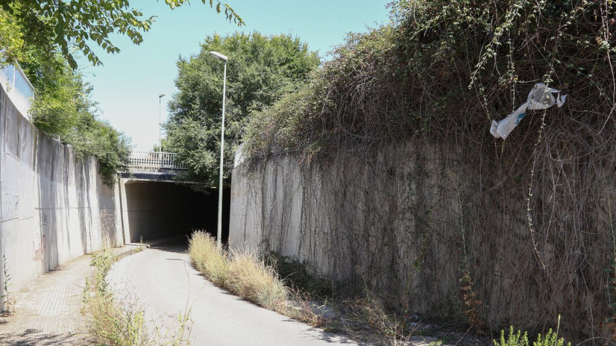 Un vial de les Gavarres ple d'herbes ofereix una greu imatge d'abandó
