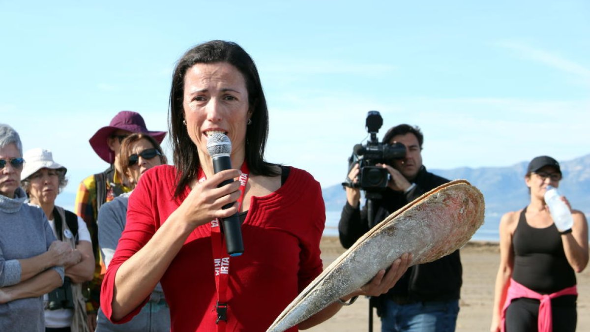 Preocupación por la supervivencia de los nácares en el delta del Ebro después de la ruptura del Trabucador por el Gloria