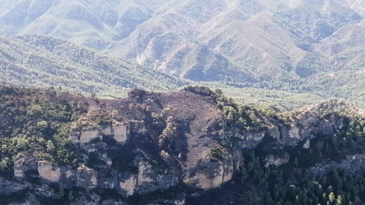 Extinguido el incendio forestal en la Ribera de Ebro