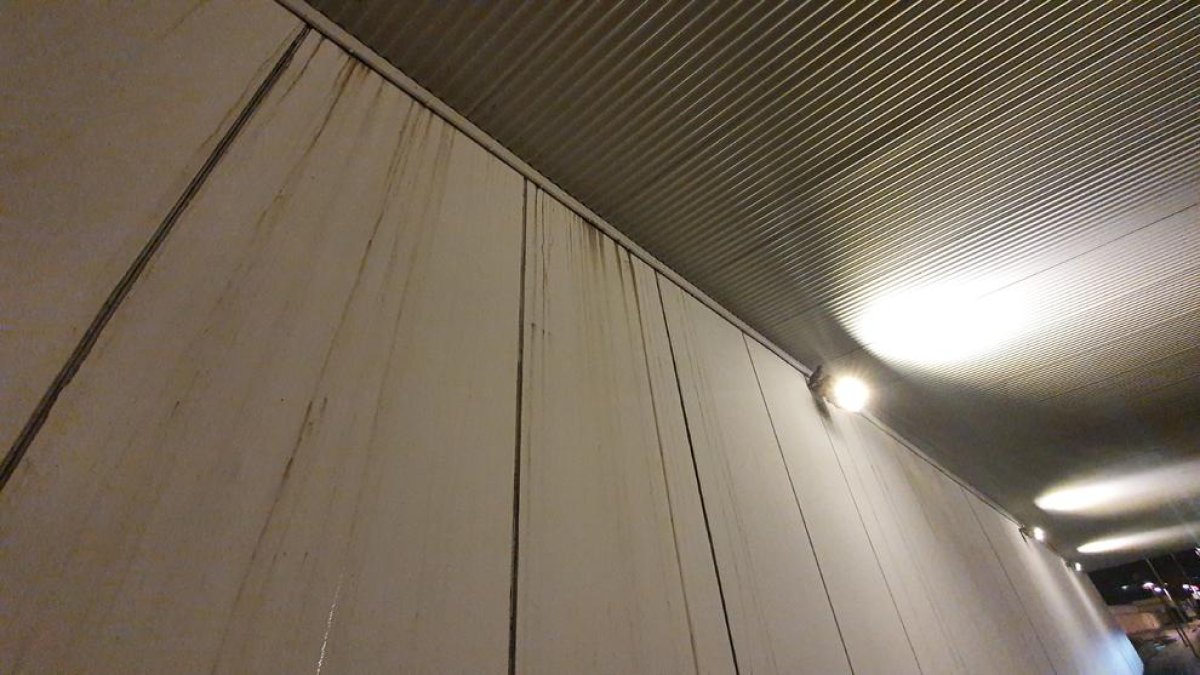 El pont de Vidal i Barraquer ja està brut i es manté la presència de coloms