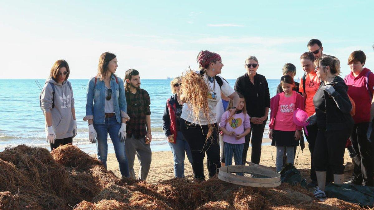 Entitats ecologistes i voluntaris netegen la platja Llarga