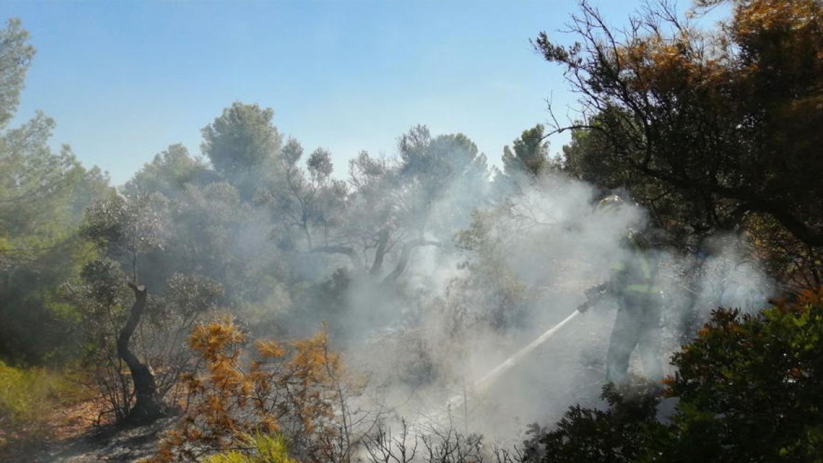 Petit incendi de vegetació a la zona de la Punta de l'Àliga de l'Ametlla de Mar