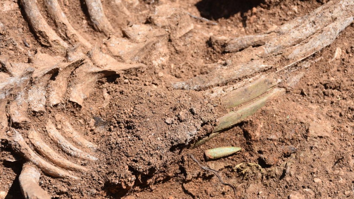 El Gobierno abre una fosa de la Guerra Civil a Benifallet, la 28.ª del plan de fosas