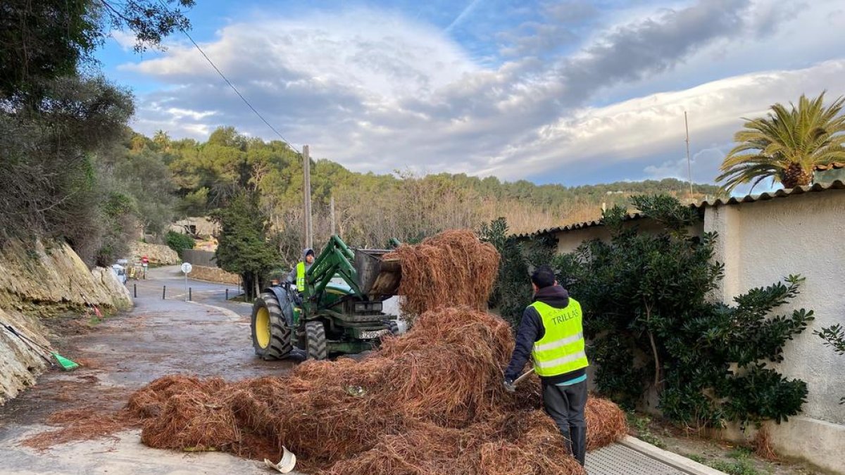 Els càmpings de Tarragona ciutat xifren les pèrdues pel Gloria en més d'un milió d'euros