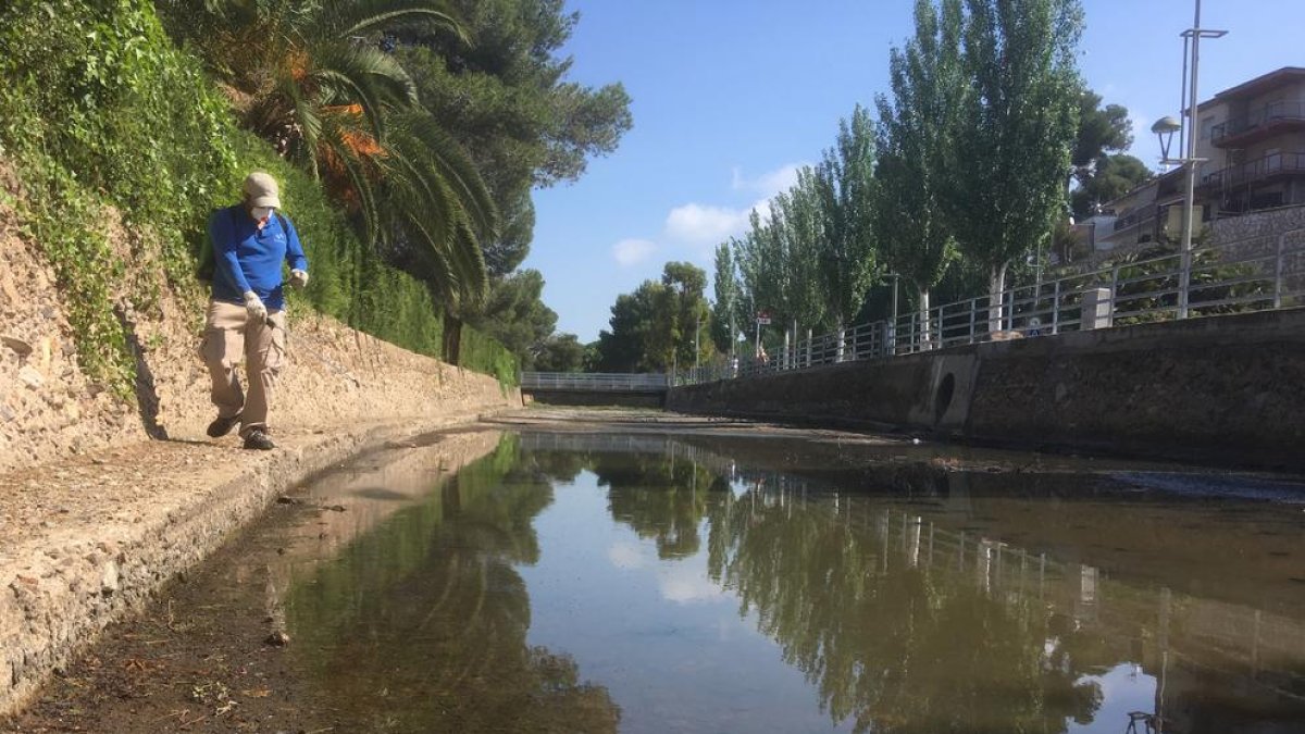 El Ayuntamiento de Tarragona refuerza los tratamientos preventivos contra el mosquito tigre