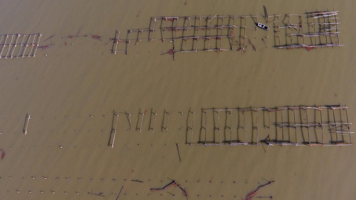 mejilloneras, badía fangar, Delta del Ebro, temporal Gloria