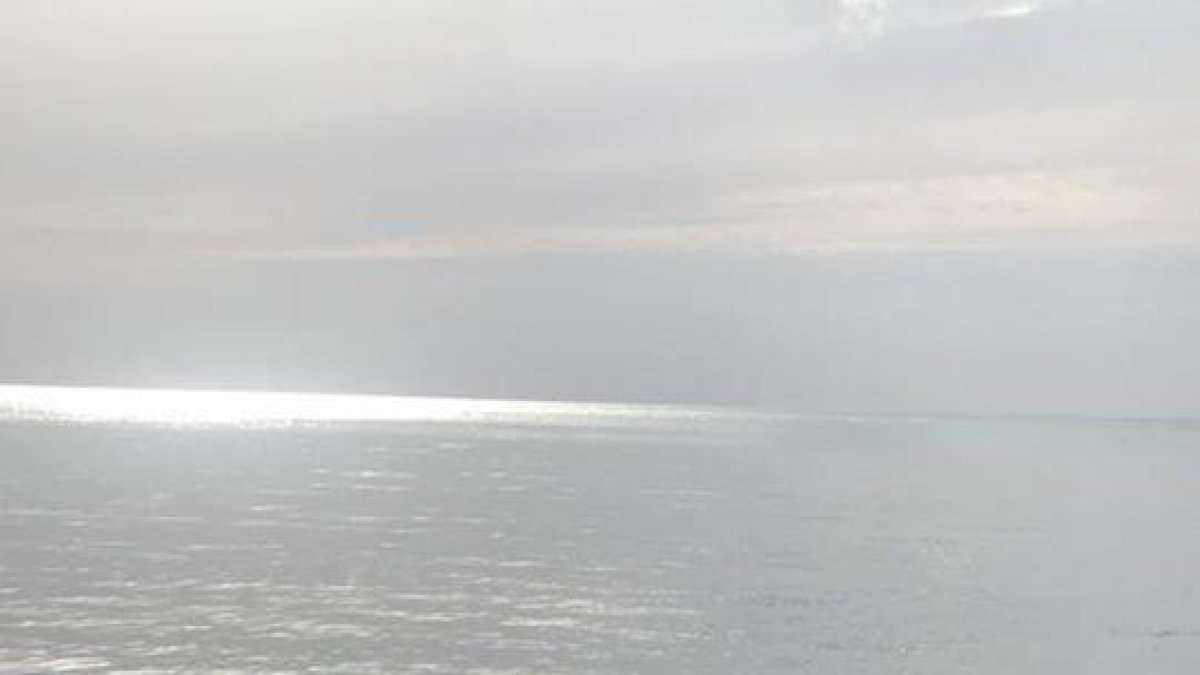 Balfegó compensará a los pescadores que hayan tenido pérdidas por|para capturas accidentales de atún