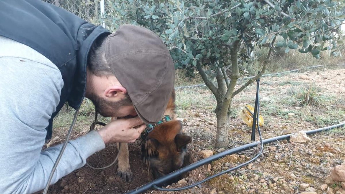 Una pareja con buen olfato
