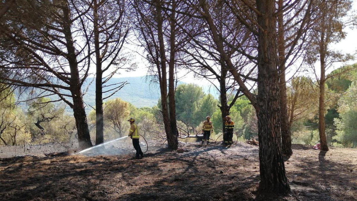 Un incendi de vegetació a Alforja activa vuit dotacions de Bombers