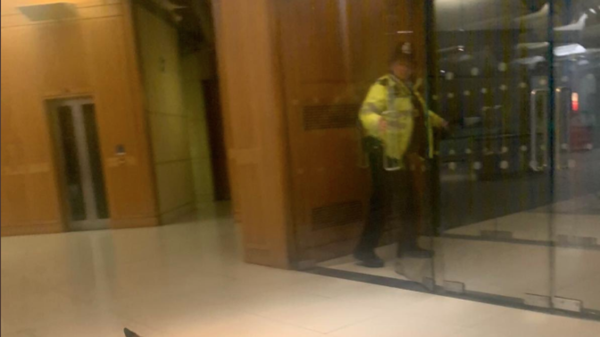 Una guineu es passeja pel Parlament Britànic i acaba defecant davant la porta del despatx d'un parlamentari