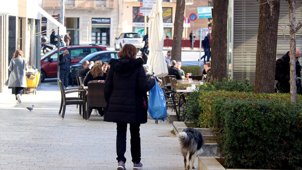 Gerona prohibirá pasear perros en zonas ajardinadas