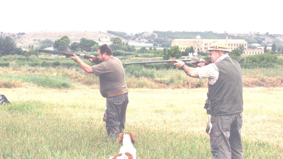 Los animalistas presionan para que no se exonere a los cazadores de la inscripción de los perros al registro