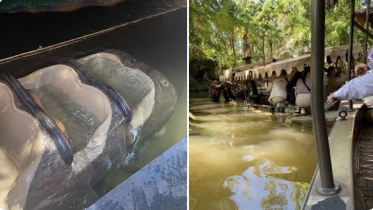 Una atracció de Disney World Orlando s'enfonsa amb passatgers dins: «Vàrem decidir saltar»