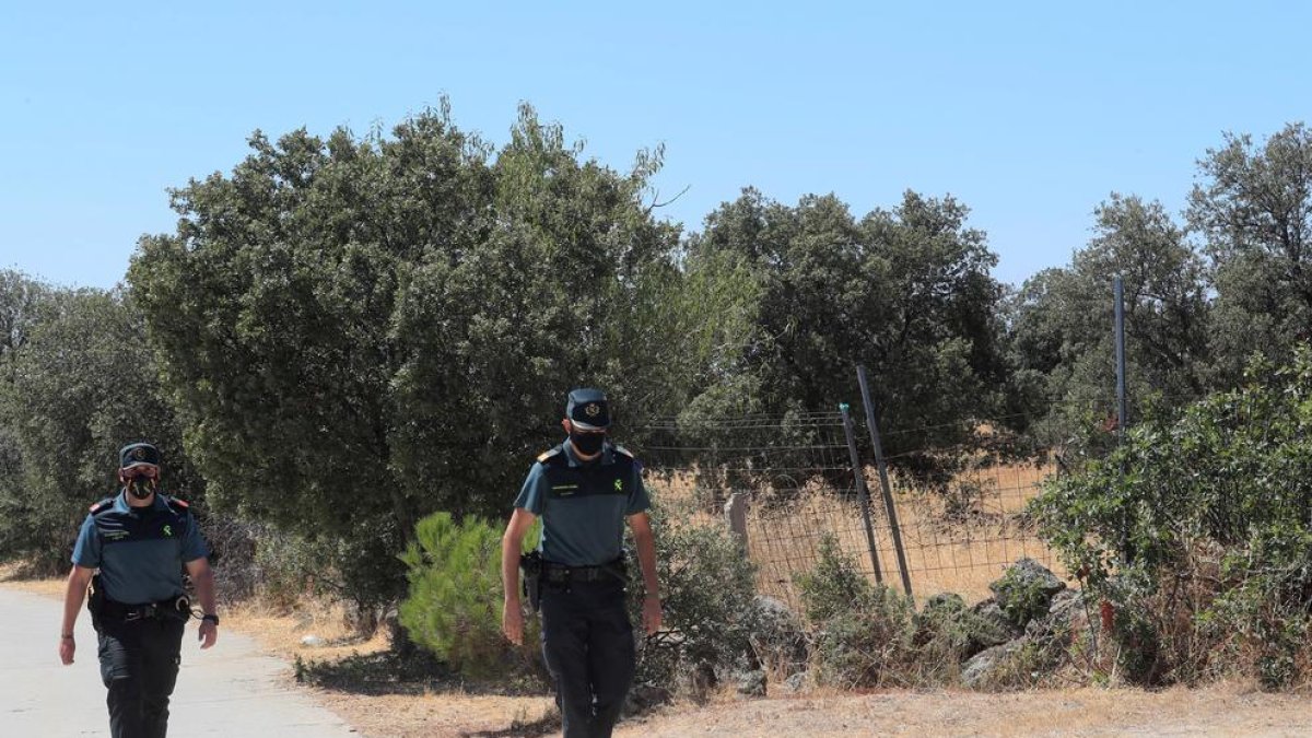 Troben el cadàver esquarterat d'una anciana repartit entre bosses enterrades en un parc de Madrid