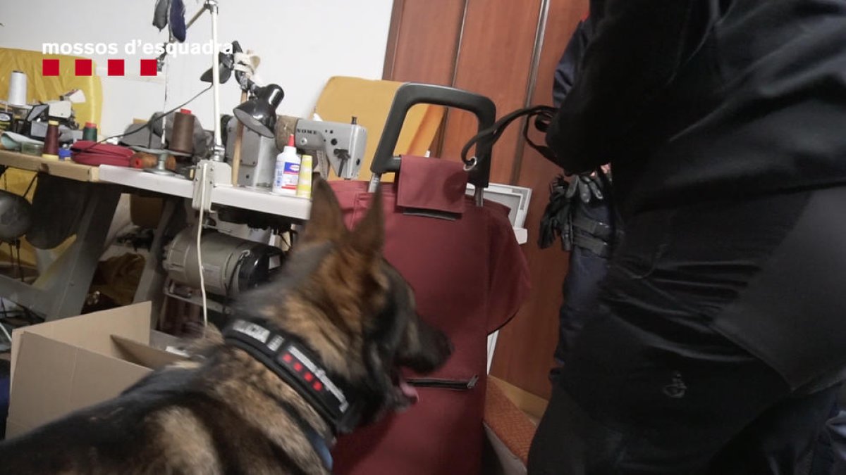 Un clan de l'Hospitalet de Llobregat distribuïa droga en patinet des d'una sastreria