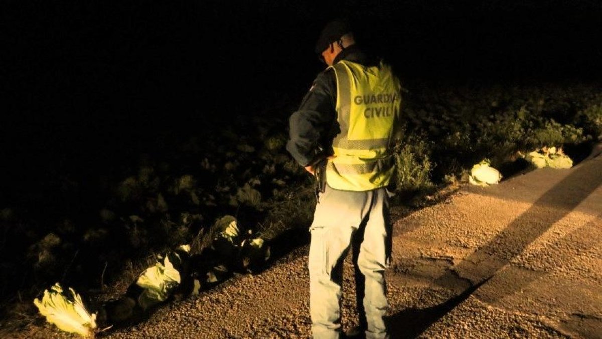 La Guàrdia Civil investiga a un veí d'Amposta per furtar productes hortofructícoles a l'Aldea