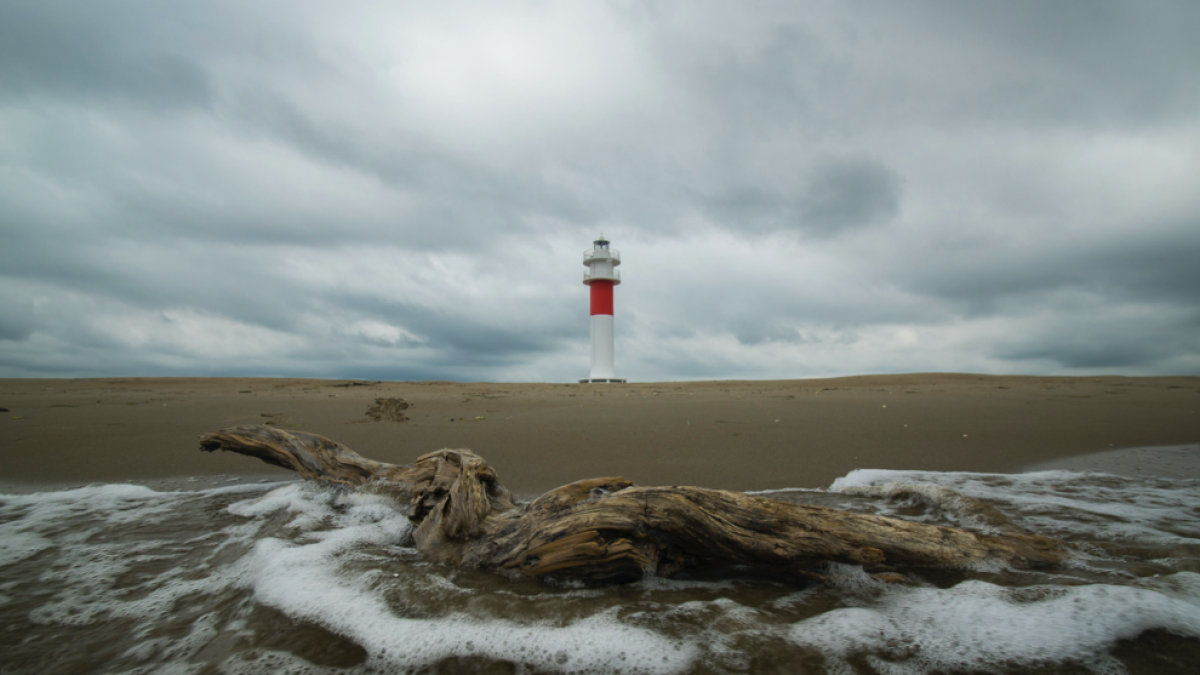 Cincuanta fotografies «per fer reflexionar» sobre la importància del Delta de l'Ebre