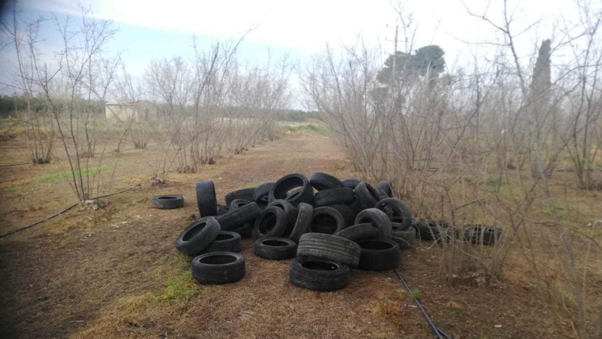 Mossos y Agentes Rurales ampliarán la vigilancia en las fincas agrícolas del Tarragonès