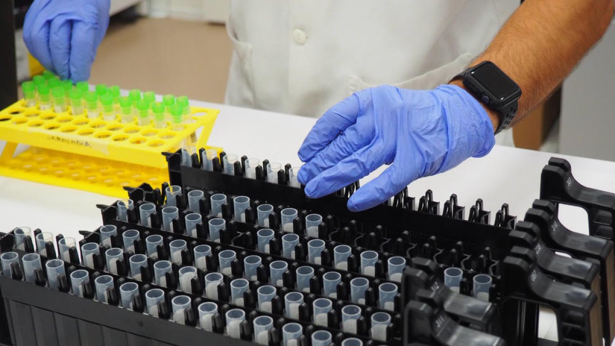 mostres PCR, coronavirus, covid