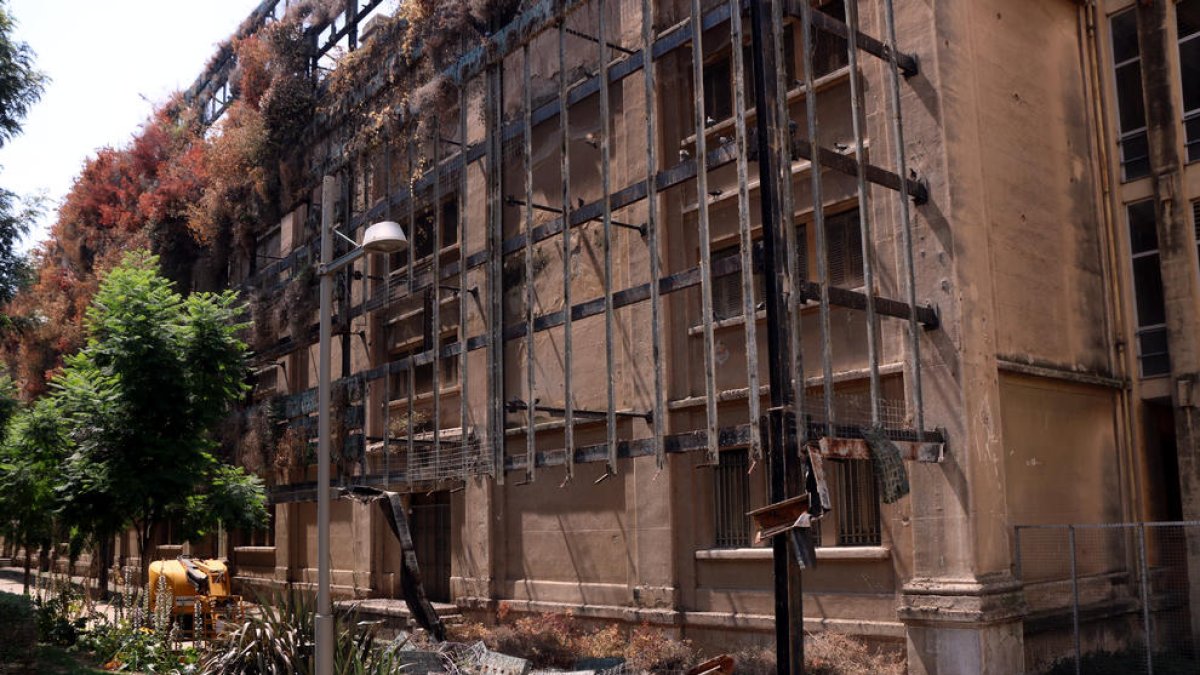 Comencen a desmuntar el jardí vertical de la Tabacalera