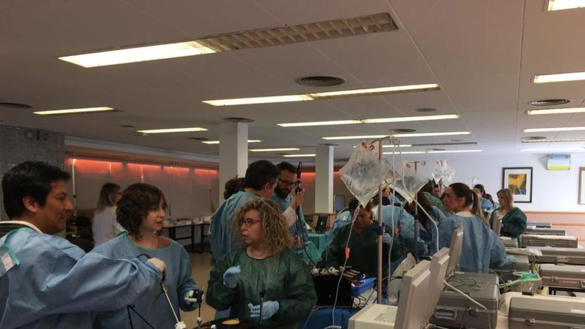 El Joan XXIII, referente en el tratamiento de los cálculos en la vesícula y en el conducto biliar con una sola intervención