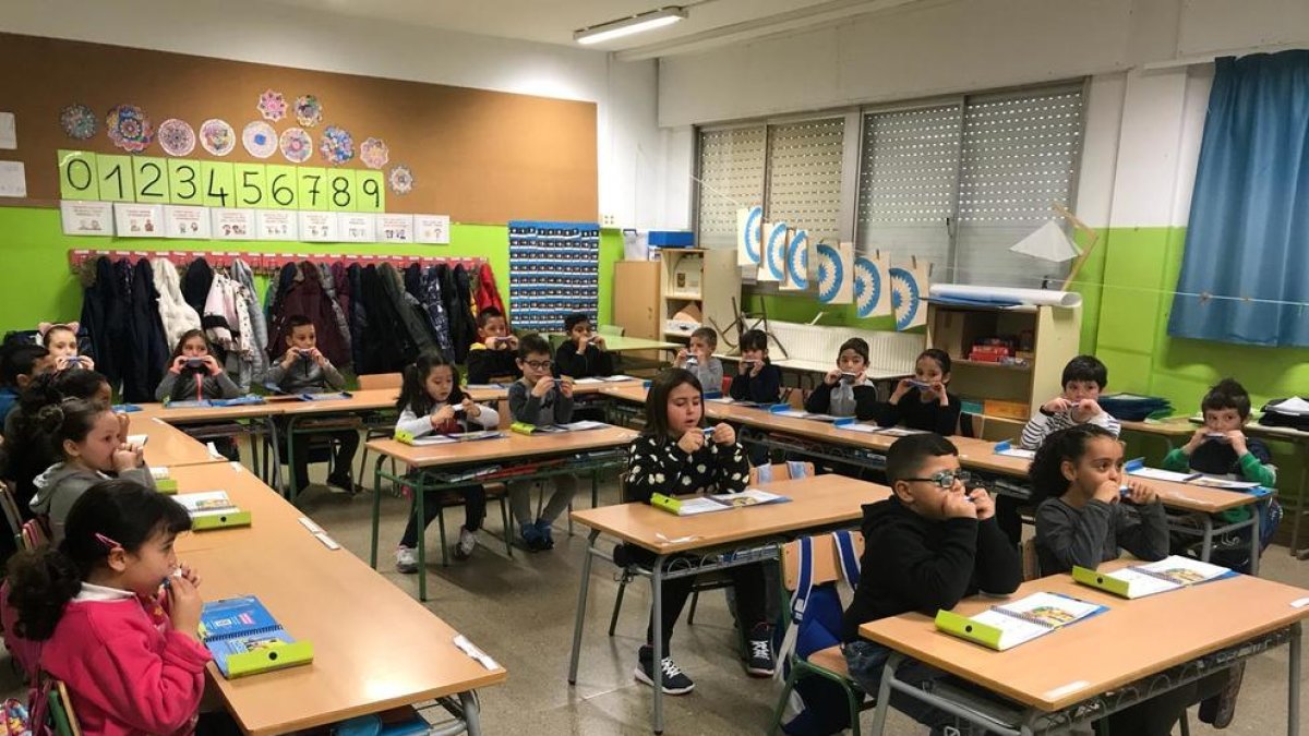 Amb una harmònica entre els llibres