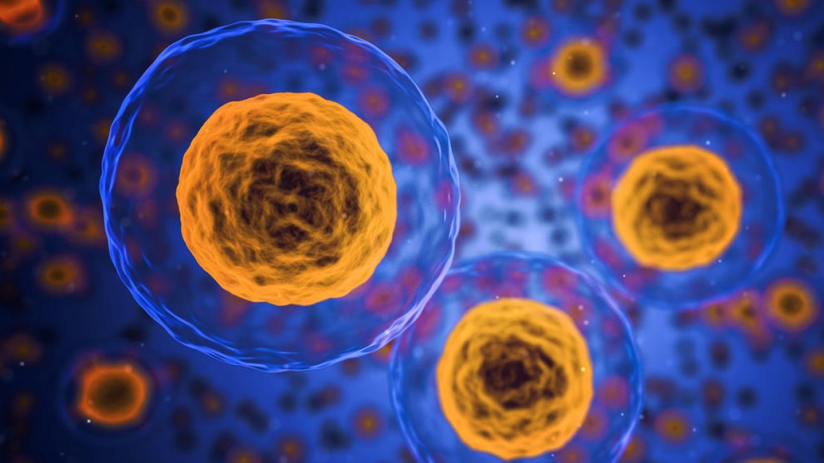 Identificado un nuevo mecanismo por atacar las células tumorales